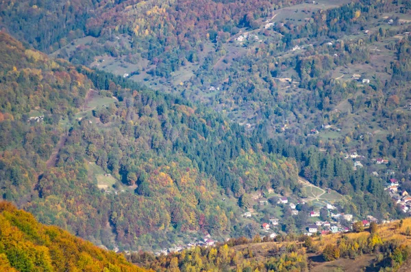 Gele herfstbos in de bergen — Stockfoto