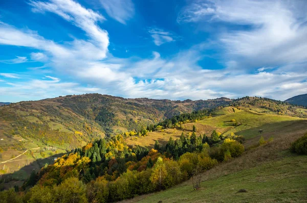 Gelber Herbstwald in den Bergen — Stockfoto