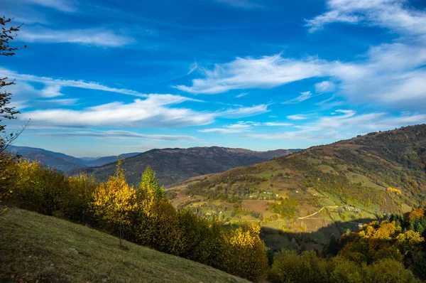 Dağlardaki sarı sonbahar ormanı — Stok fotoğraf