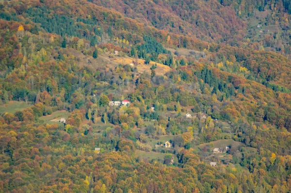 Árvores de outono em uma colina nas montanhas — Fotografia de Stock