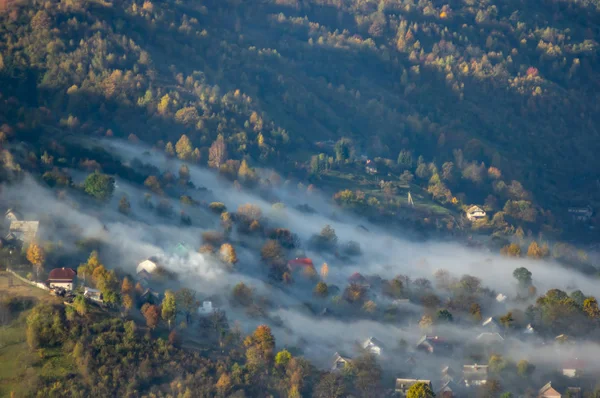 Casas e árvores no nevoeiro da manhã no outono — Fotografia de Stock