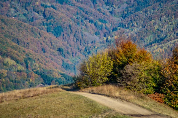 Földút a hegyekben ősszel — Stock Fotó