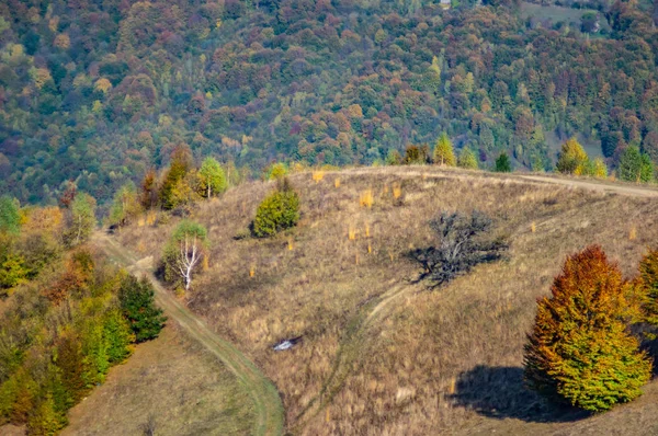 Strada sterrata in montagna in autunno — Foto Stock