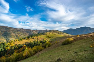 Karpat dağlarında sonbahar günü