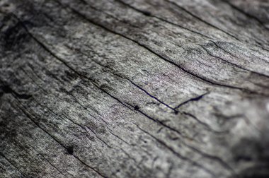 Eski kuru ahşap kaplama.