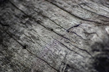 Eski kuru ahşap kaplama.