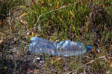 Yabanmersini çalılarının arasına atılmış plastik şişe.