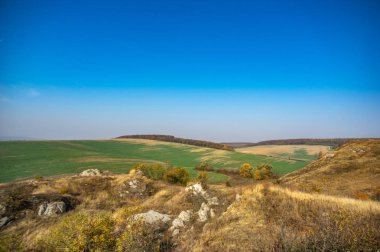 Bir tarım alanının panoraması