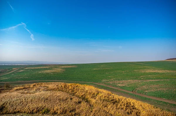 Panorama de un campo agrícola — Foto de Stock