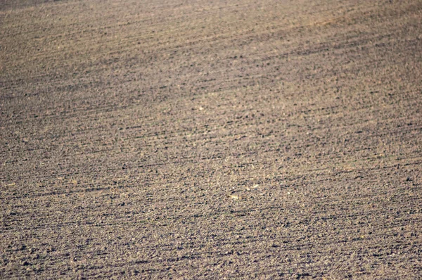 Terreno arato su un campo di terreno nero — Foto Stock