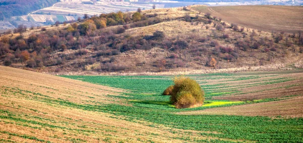 Mezőgazdasági terület panorámája — Stock Fotó