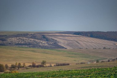 Sonbahar günü sürülmüş ve ekilmiş tarlalar