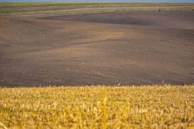 Kara toprak tarlasına sürülmüş toprak