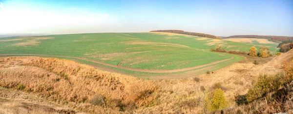 Панорама сельскохозяйственного поля — стоковое фото