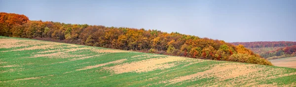 Mezőgazdasági terület panorámája — Stock Fotó