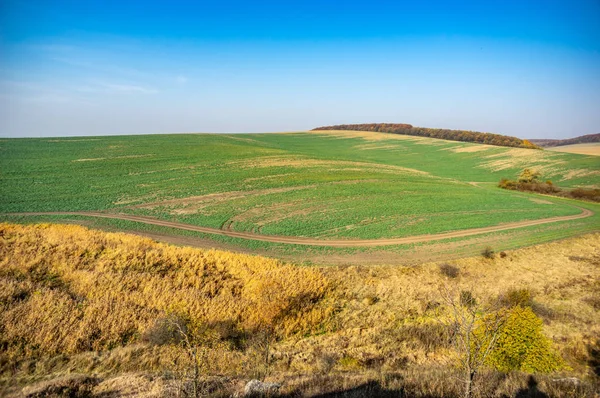 Panorama över ett jordbruksfält — Stockfoto