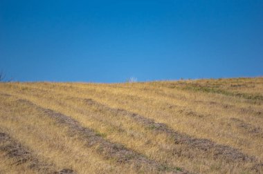 Ukrayna 'da sonbaharda yeşil alanlar