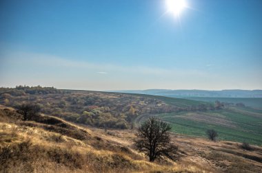 Ukrayna 'da sonbaharda yeşil alanlar