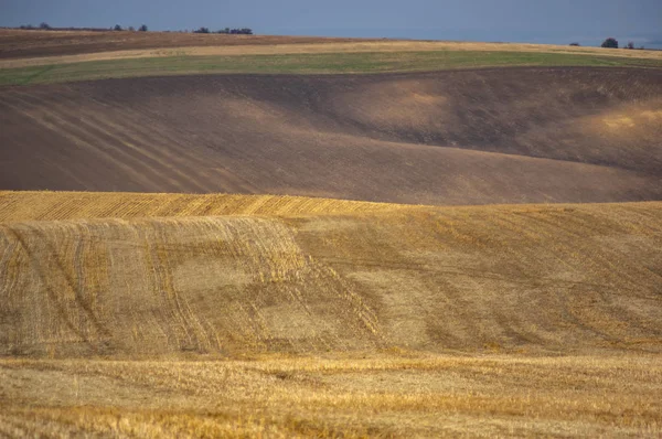 Champ arrosé et semé le jour d'automne — Photo