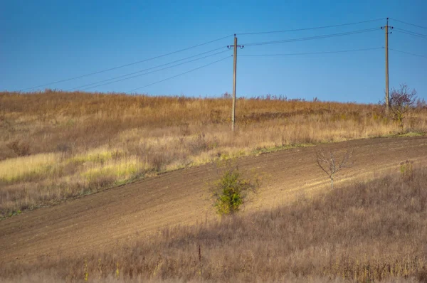 Campo arborizado e semeado no dia de outono — Fotografia de Stock