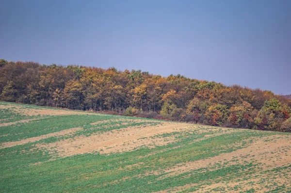 Campo semeado no dia de outono — Fotografia de Stock