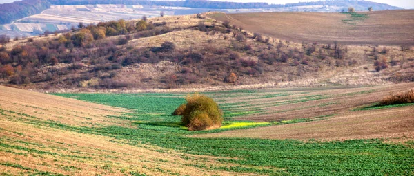 Sown field in autumn day — Stock Photo, Image