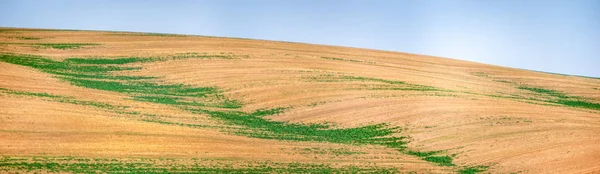 Sown veld in de herfst dag — Stockfoto