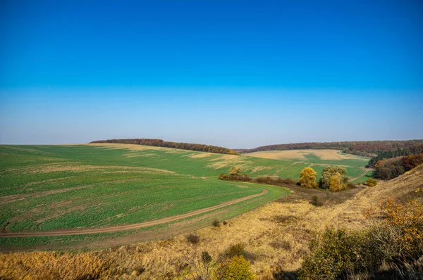 Засеянное поле осенью — стоковое фото