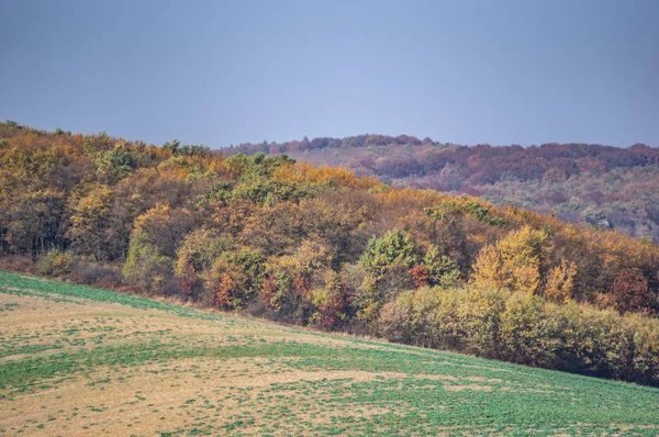Campo semeado no dia de outono — Fotografia de Stock