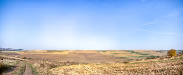 Green fields in autumn in Ukraine — Stock Photo, Image