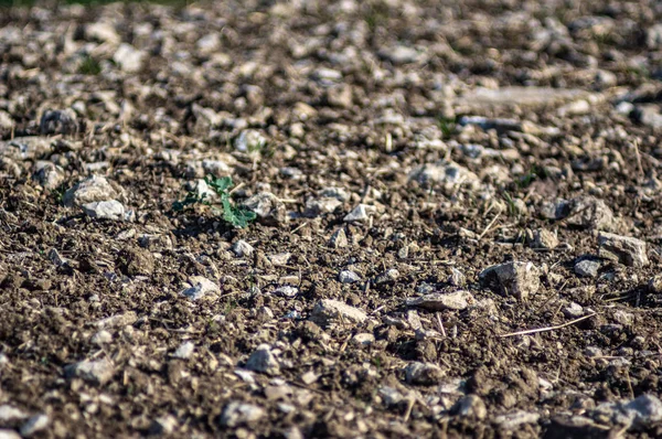 Opgegraven land met kalkstenen — Stockfoto