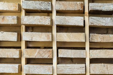 Popo tahta dokusu. Ağaç sonu. Birçok bölüm arka plan.