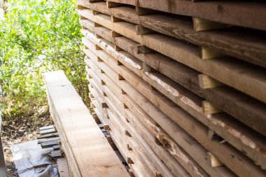 Popo tahta dokusu. Ağaç sonu. Birçok bölüm arka plan.