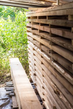 Popo tahta dokusu. Ağaç sonu. Birçok bölüm arka plan.