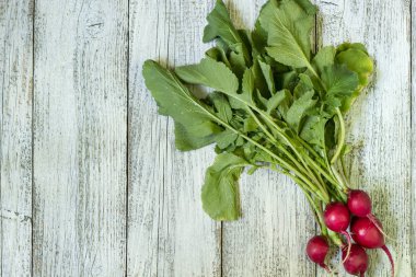 kırsal bir tabloda bir bahçe yatağından kırmızı turp demet.
