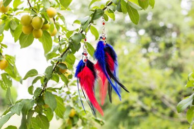 Tüylü, iplikli ve boncuklu ip sallanan düş kapanı küpeleri. El yapımı düş kapanı.