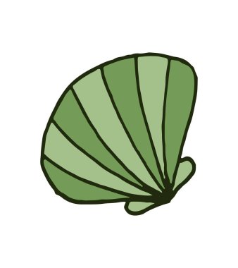 Vektör renkli doodle çizilmiş deniz kabuğu beyaz arka plan üzerinde izole el.