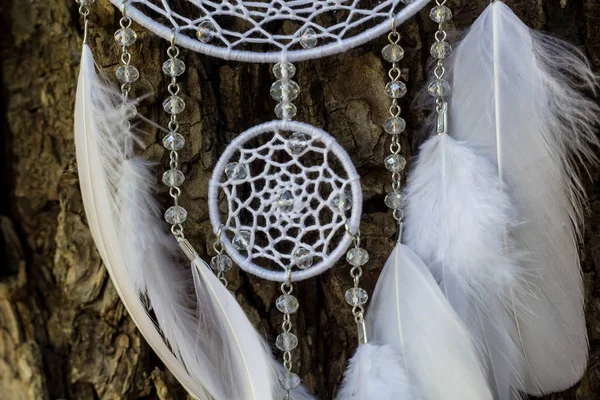 Chyták Snů Peřím Korálky Zavěšenými Provazy Dreamcatcher Ruční Výroba — Stock fotografie