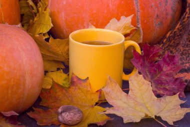 Çay üzerinde sonbahar sonbahar yaprakları ve tonda kabak, Cadılar Bayramı ruh hali,.