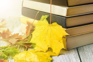 sonbahar yaprakları eski kitaplarda ahşap arka plan üzerinde tonda