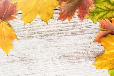 Mevsim sonbahar akçaağaç çerçevesinde tonda Beyaz ahşap zemin üzerine bırakır