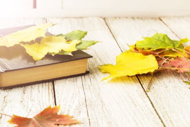 Kitap ve tonda Beyaz ahşap arka plan üzerinde renkli akçaağaç yaprakları