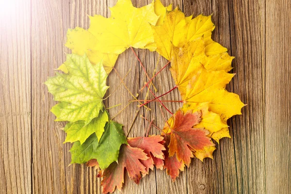 Colorful and bright background from a circle of autumn leaves, on a wooden background. Autumn concept, toned