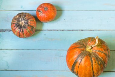 Kopya alanı ile mini kabaklar genel gider manzaralı sonbahar arka plan.