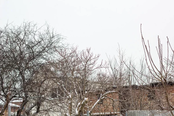 Zimní Krajina Barevné Dům Pod Krásný Strom Plný Sněhu — Stock fotografie