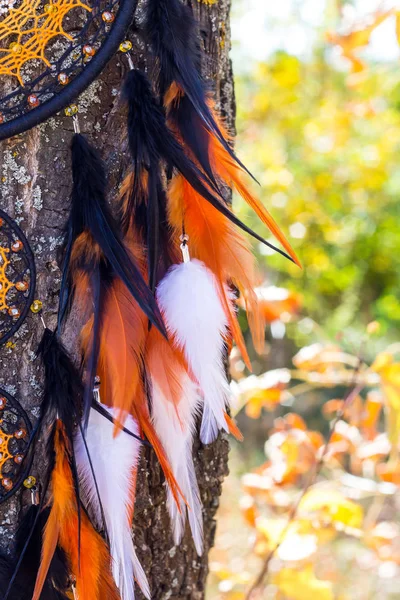 Acchiappasogni Con Fili Piume Corde Perline Appese Acchiappasogni Fatto Mano — Foto Stock