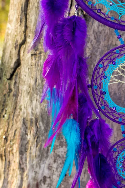 Chyták Snů Peřím Korálky Zavěšenými Provazy Dreamcatcher Ruční Výroba — Stock fotografie