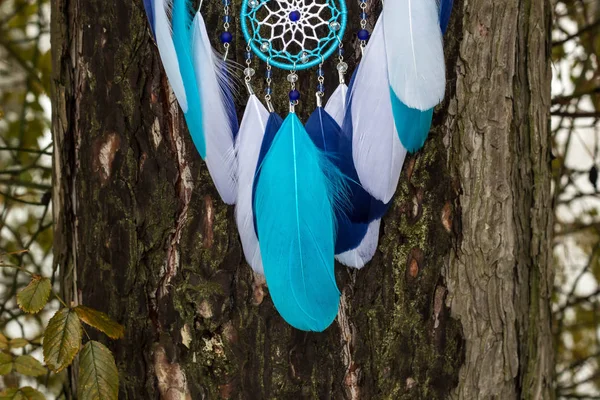 梦想捕手用羽毛线和珠子绳挂着 梦想家手工制作的 — 图库照片