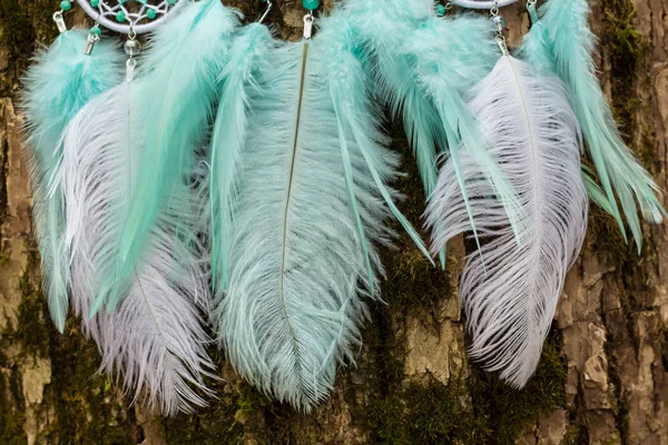 Chyták Snů Peřím Korálky Zavěšenými Provazy Dreamcatcher Ruční Výroba — Stock fotografie