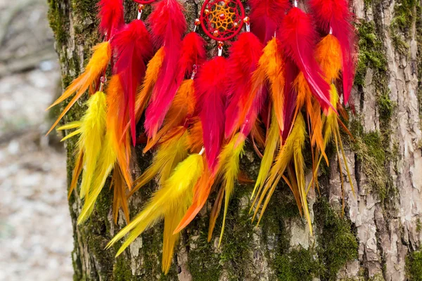 Atrapasueños Con Hilos Plumas Cuentas Cuerda Colgando Atrapasueños Hecho Mano — Foto de Stock